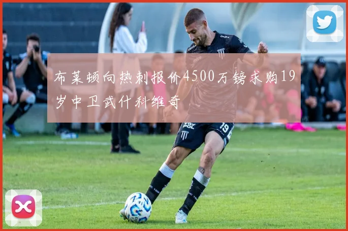 布莱顿向热刺报价4500万镑求购19岁中卫武什科维奇